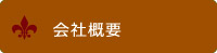 ЊTv